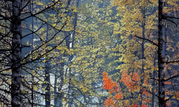 Zemská stezka – autumn