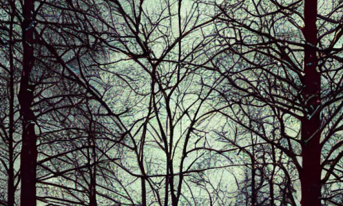 Zemská stezka – winter