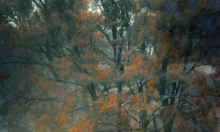 Zvěřinec – autumn