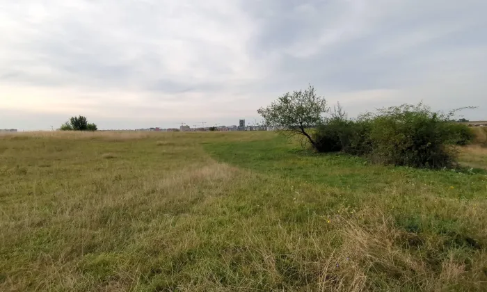 Hradiště Butovice
