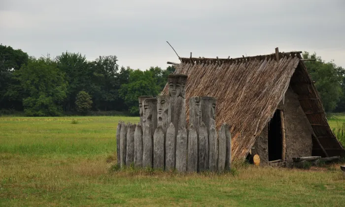 Hradiště Pohansko