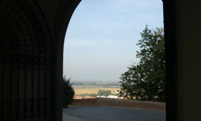 Synagoga v Mikulově