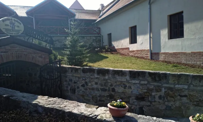 Vodní mlýn (Dašice)