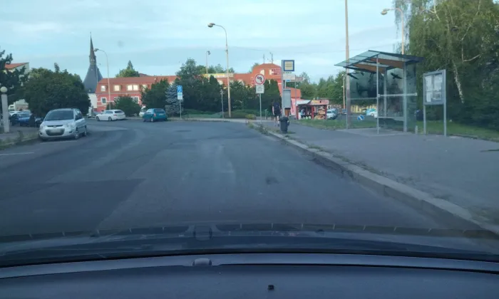vodní hrad Lipý