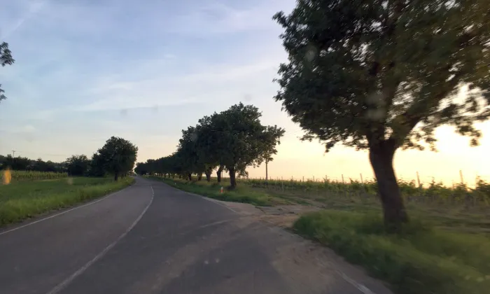 Boží muka (Valtice)
