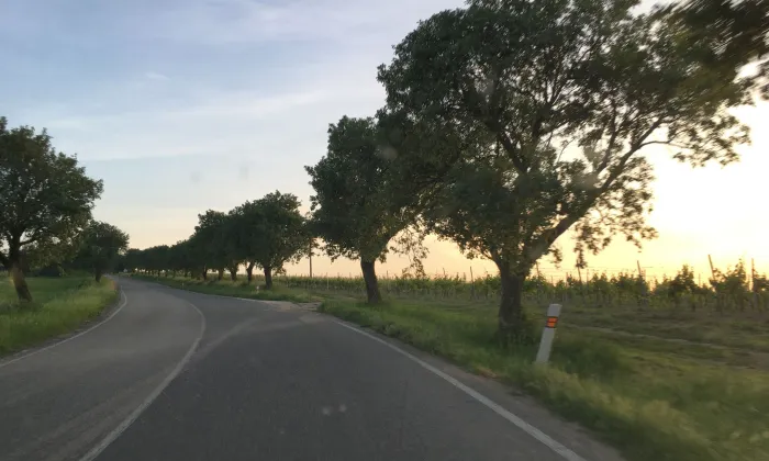 Boží muka (Valtice)