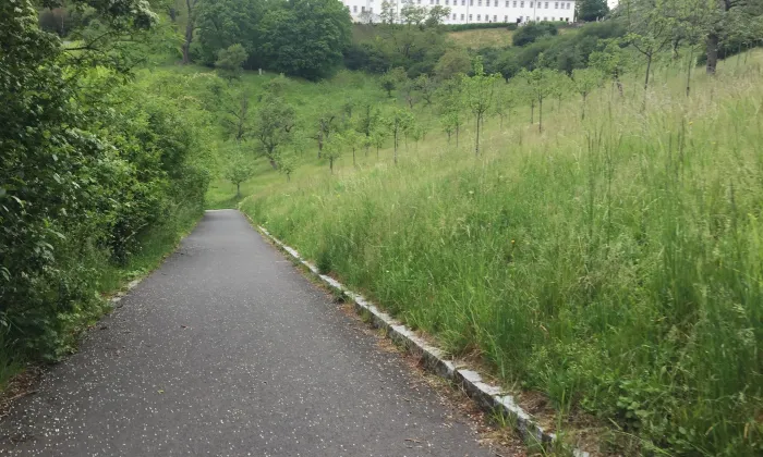 Kaplička svaté Barbory