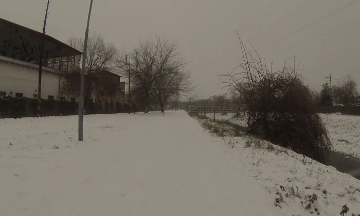 Městská jatka (Brno)