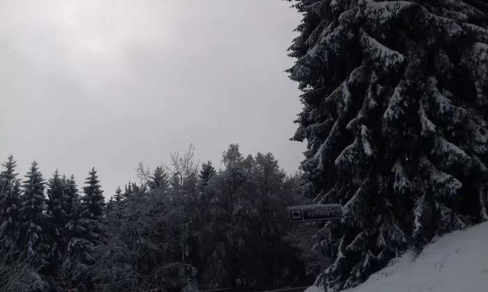 Pomník Jindřicha Šimona Baara