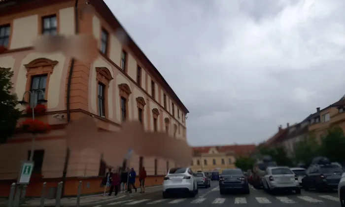 Radnice v Sušici