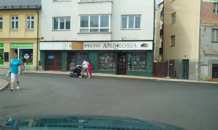 Socha svatého Floriána (Ústí nad Orlicí)