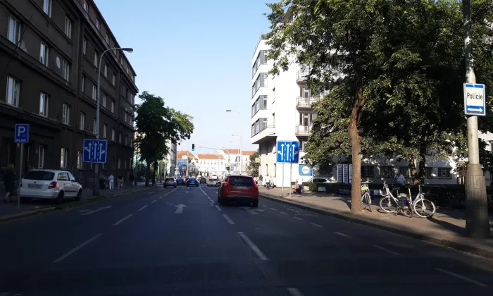 Ženské domovy