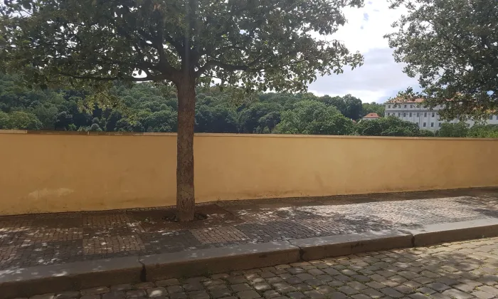 Dům U černého vola, U zlatého vola, U sv. Lukáše