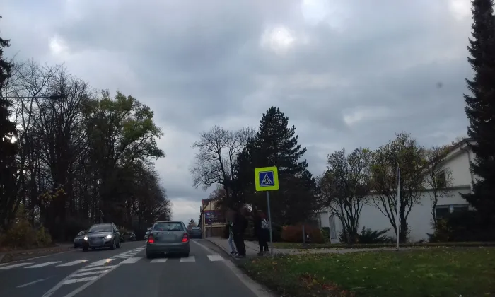 Langerova vila (Předměstí)