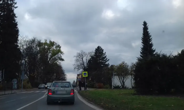 Langerova vila (Předměstí)
