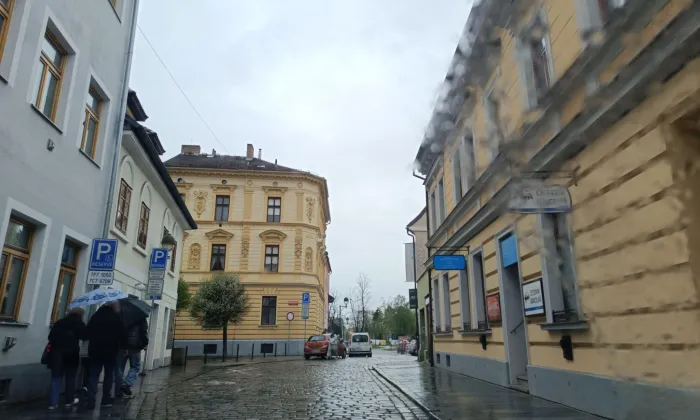 Lubasův dům