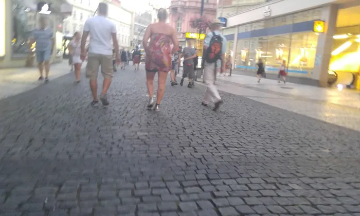 Mottlův dům
