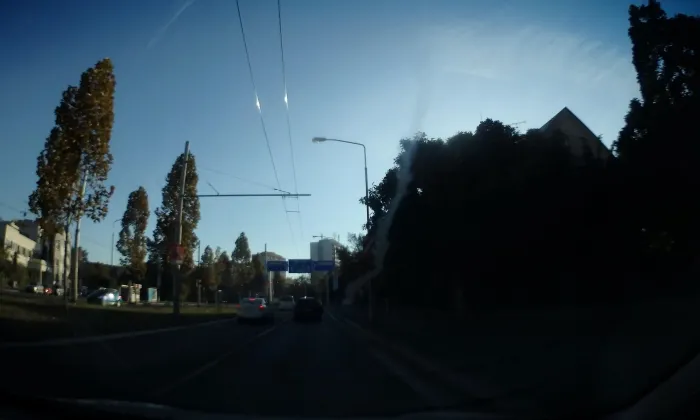 Píšova vila