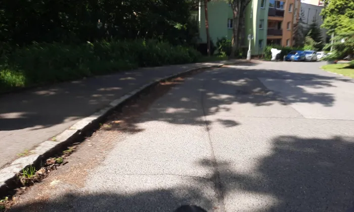 Vila Františka Langera