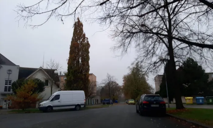 Vila Jiřího Freunda