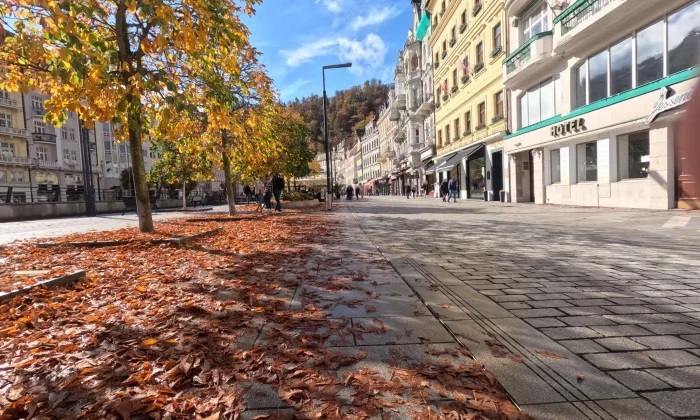 dům Metropole