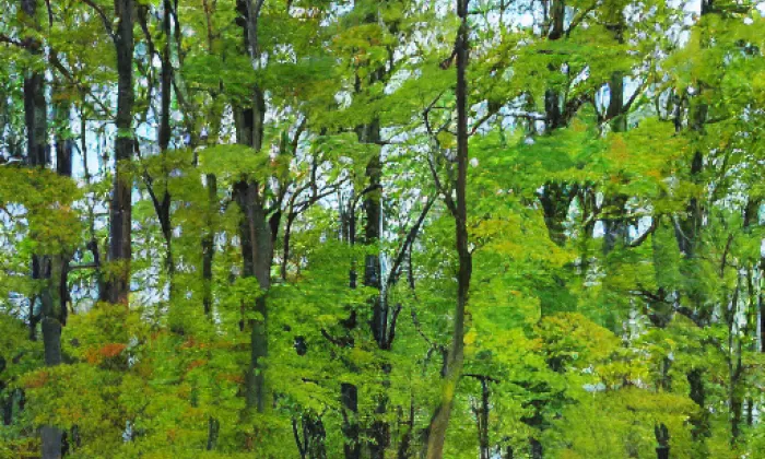 Žďár (Žďár) – autumn