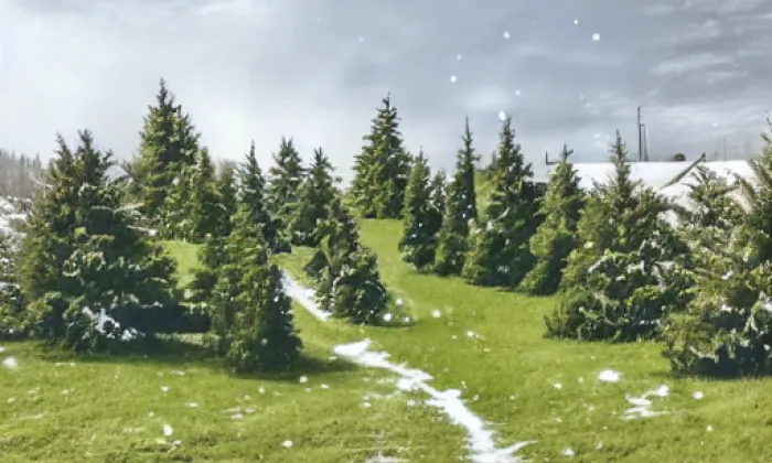 Šárecké hradiště – winter