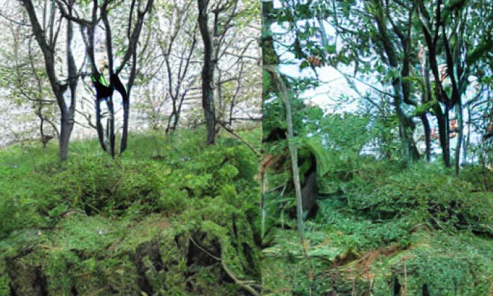 Řebřík – jaro