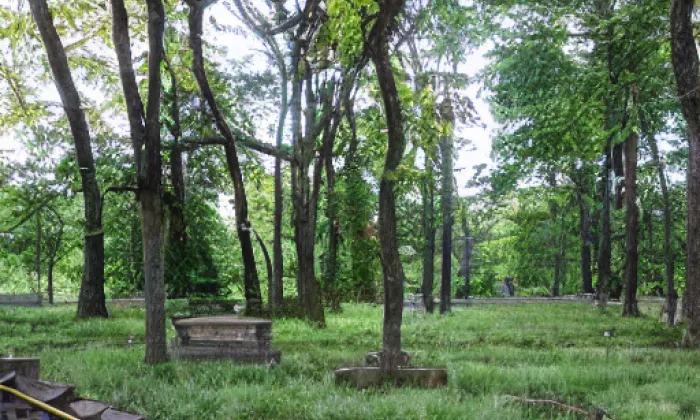Řebřík – léto
