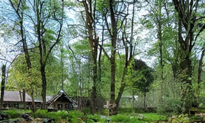 Řebřík – zima
