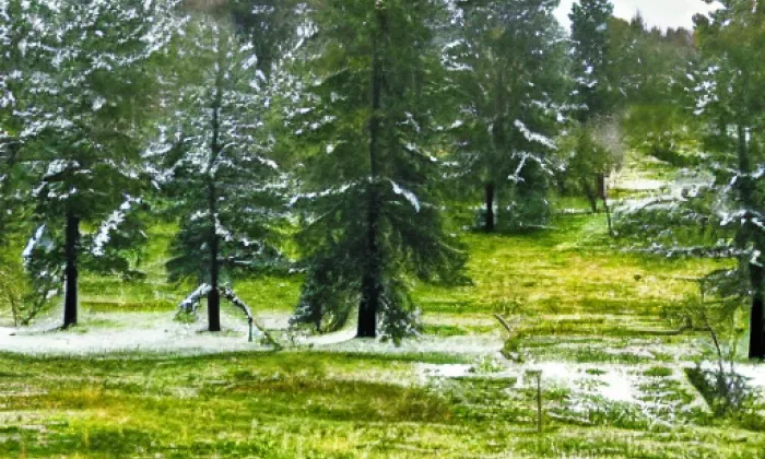 ženijní můstek na Řasnici – winter