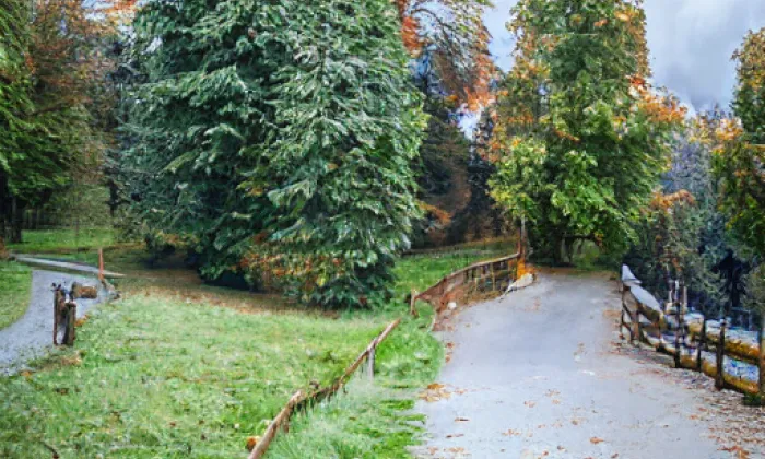 Židovské pece – autumn