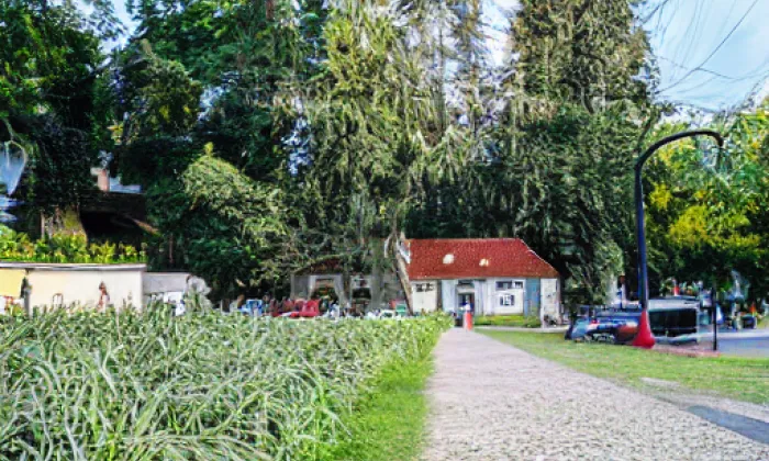 Židovské pece – summer