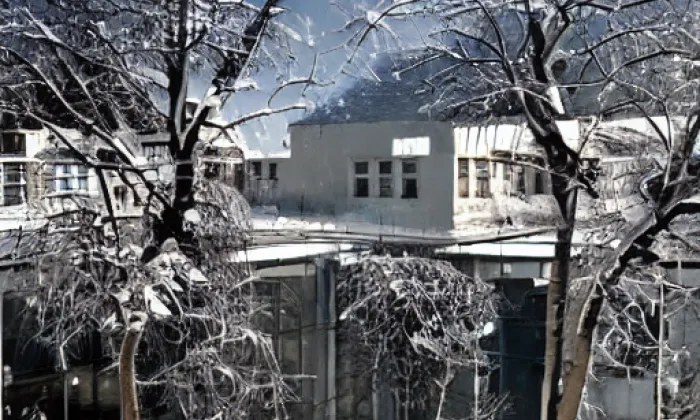 Anthropos – winter