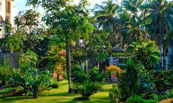 Arboretum Josefa Eberta – léto