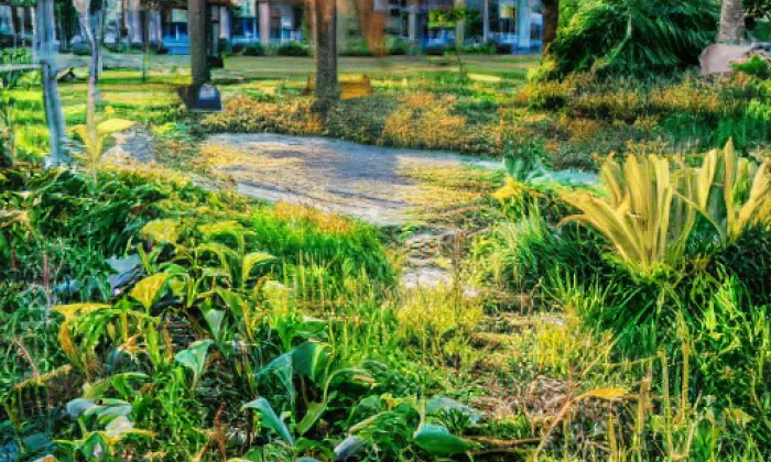 Arboretum Křtiny – summer