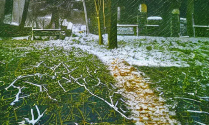 Arboretum Křtiny – winter