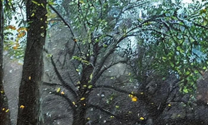 Biokoridor Hloučela – autumn