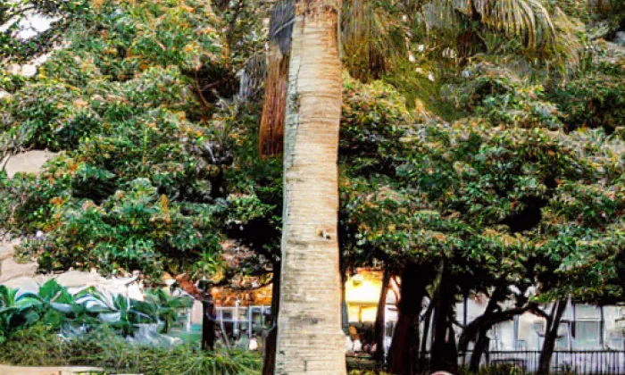 Boží muka z roku 1717 – léto
