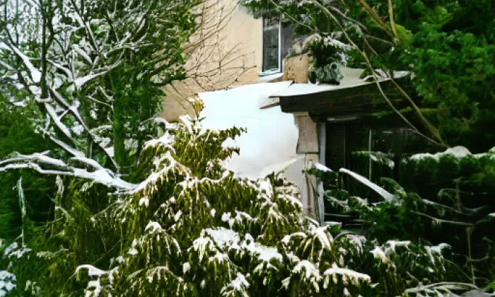 Brána zemědělského dvora – winter