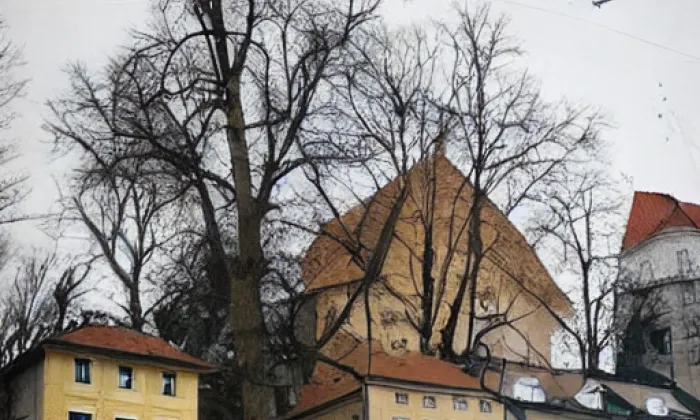 Braunův sklep – noc