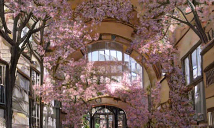 Broumovský klášter – spring