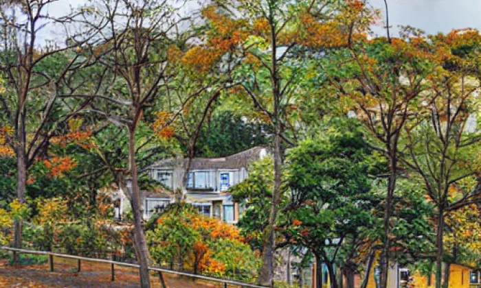 Budova nákladního nádraží Staré Kladno – autumn