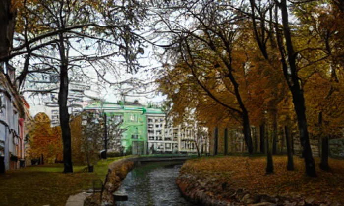 Burkvíz – summer