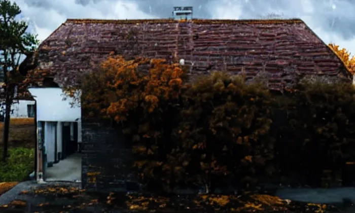 Důchodní úřad – autumn