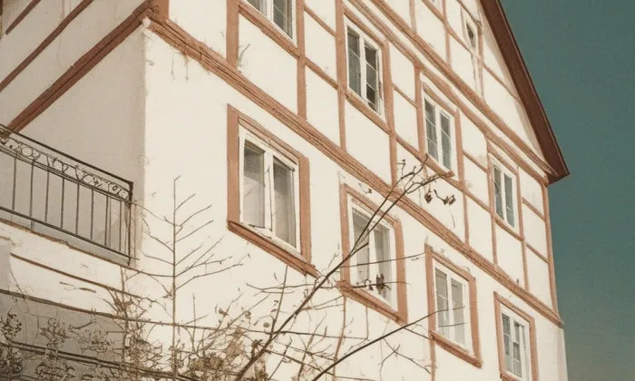 Dům Zlatý jelen – historická rekonstrukce