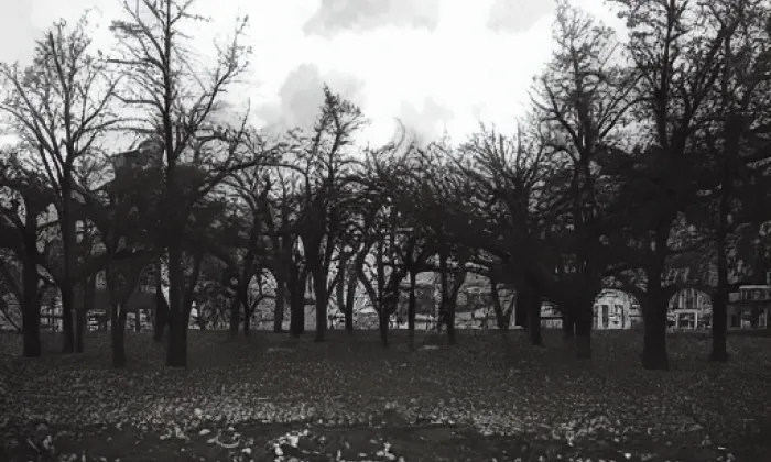Dänemark – autumn