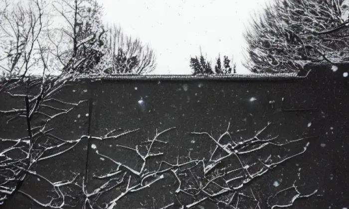 Dänemark – winter