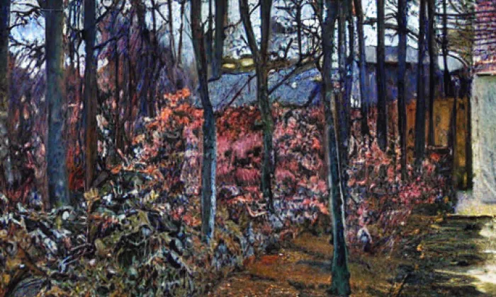 Darebnice – spring