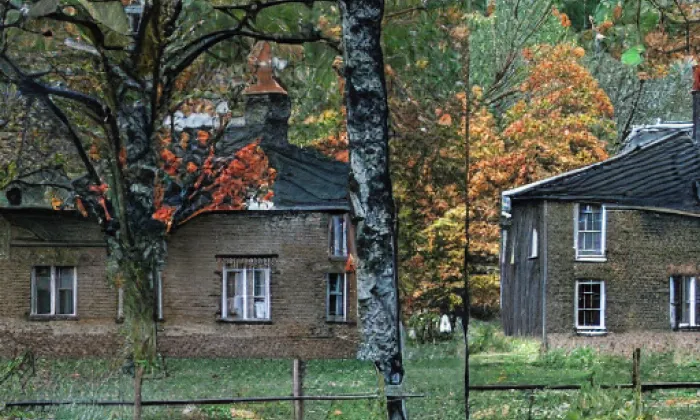 Devět křížů – autumn
